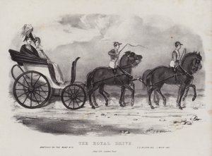 The Royal Drive by J.C. Wilson